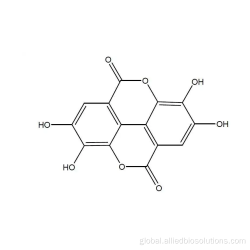 Organic Gallnut Extract dimeric derivative of gallic acid Ellagic acid Manufactory